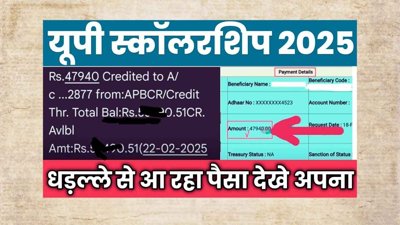 UP Scholarship